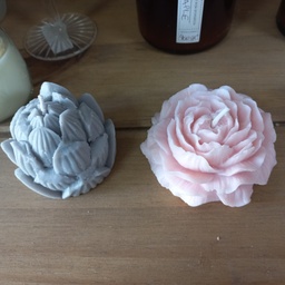 [KL/VEL8] VELA ROSA/ CAPULLO