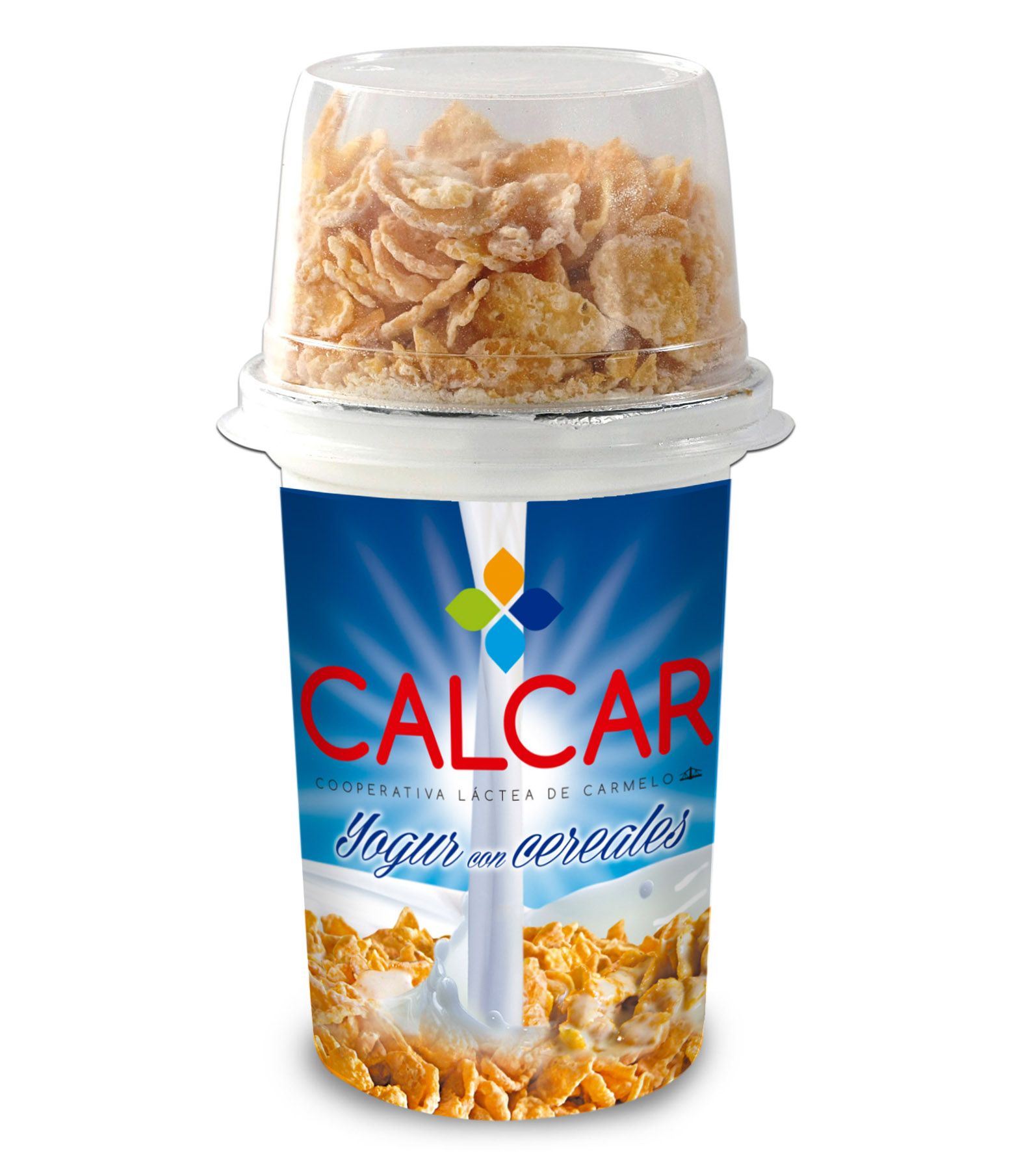 Imagen de la diapositiva